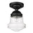 Z-Lite Vaughn 1 Light 16" Flush Mount, Matte Black/Clear Seedy