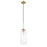 Z-Lite Monty 1 Light Pendant, Heritage Brass/Clear