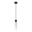 Z-Lite Beau 1 Light Pendant, Matte Black/Clear