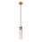 Z-Lite Beau 1 Light Pendant, Rubbed Brass/Clear