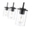 Z-Lite Thayer 3 Light Pendant, Matte Black/Clear