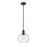 Z-Lite Margo 1 Light 11" Pendant, Matte Black/Clear Seedy