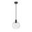 Z-Lite Margo 1 Light 11" Pendant, Matte Black/Clear Seedy