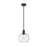 Z-Lite Margo 1 Light 11" Pendant, Matte Black/Clear Seedy