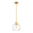 Z-Lite Margo 1 Light 11" Pendant, Olde Brass/Clear Seedy - 7501P10-OBR