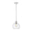 Z-Lite Margo 1 Light 11" Pendant, Polished Nickel/Clear Seedy
