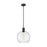 Z-Lite Margo 1 Light 15" Pendant, Matte Black/Clear Seedy