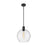 Z-Lite Margo 1 Light 15" Pendant, Matte Black/Clear Seedy