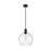 Z-Lite Margo 1 Light 15" Pendant, Matte Black/Clear Seedy