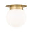 Z-Lite Calhoun 1 Light Flush Mount