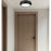 Z-Lite Quasars 1 Light 12" Flush Mount, Matte Black/White