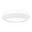 Z-Lite Quasars 1 Light 12" Flush Mount, Matte White/White