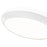 Z-Lite Quasars 1 Light 20" Flush Mount, Matte White/White