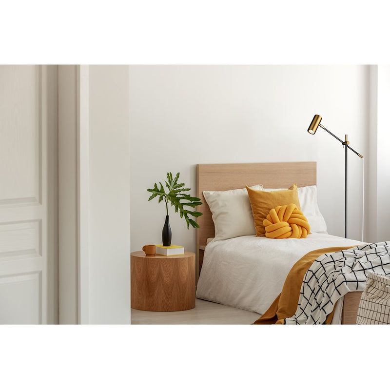 Z-Lite Calumet 1 Lt Floor Lamp, Black + Olde Brass/Olde Brass