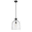 Z-Lite Pearson 1 Light 12" Chandelier, Matte Black/Clear Seedy