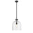 Z-Lite Pearson 1 Light 12" Chandelier, Matte Black/Clear Seedy