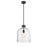 Z-Lite Pearson 1 Light 12" Chandelier, Matte Black/Clear Seedy