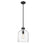 Z-Lite Pearson 1 Light 9.5" Chandelier, Matte Black/Clear Seedy
