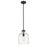 Z-Lite Pearson 1 Light 9.5" Chandelier, Matte Black/Clear Seedy
