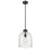 Z-Lite Pearson 1 Light 9.5" Chandelier, Matte Black/Clear Seedy