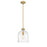 Z-Lite Pearson 1 Light 9.5" Chandelier, Rubbed Brass/Clear Seedy