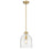 Z-Lite Pearson 1 Light 9.5" Chandelier, Rubbed Brass/Clear Seedy