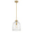 Z-Lite Pearson 1 Light 9.5" Chandelier, Rubbed Brass/Clear Seedy
