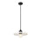 Z-Lite Paloma 1 Light Pendant