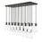 Z-Lite Alton 23 Light Linear Chandelier, Matte Black/Clear/Frosted