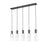 Z-Lite Alton 5 Light Linear Chandelier, Matte Black/Clear/Frosted