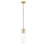 Z-Lite Alton 1 Light 5" RodPendant, Modern Gold/Clear/Frosted - 824P-ROD-MGLD