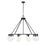 Z-Lite Titus 10 Light 46" Chandelier, Matte Black/Clear