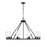 Z-Lite Titus 10 Light 46" Chandelier, Matte Black/Clear