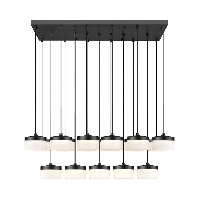 Z-Lite Renaud 17Lt Linear Chandelier, Black/Feathered White