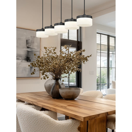 Z-Lite Renaud 5Lt Linear Chandelier, Black/Feathered White