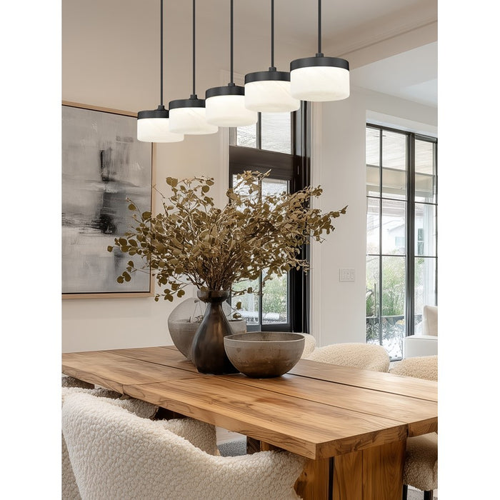 Z-Lite Renaud 5Lt Linear Chandelier, Black/Feathered White