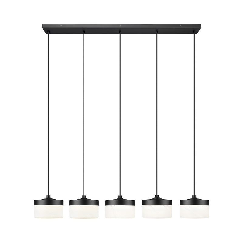 Z-Lite Renaud 5Lt Linear Chandelier, Black/Feathered White