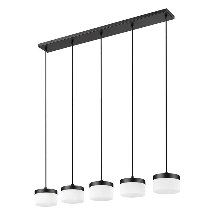 Z-Lite Renaud 5Lt Linear Chandelier, Black/Feathered White