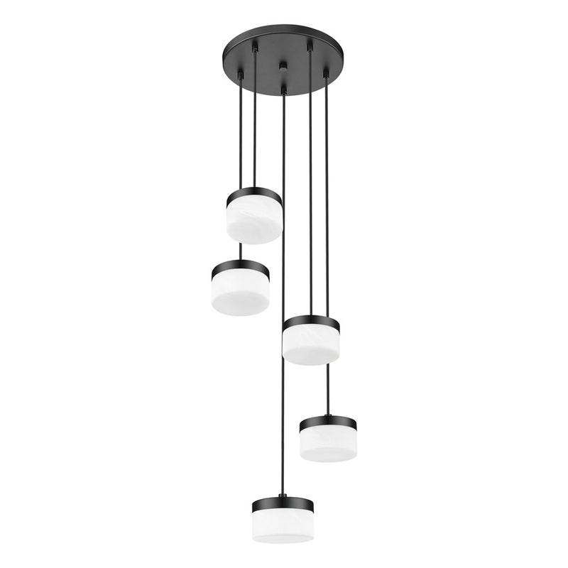 Z-Lite Renaud 5 Light Chandelier, Matte Black/Feathered White
