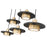 Z-Lite Ludo 5Lt Linear Chandelier, Black/Gold/Frosted