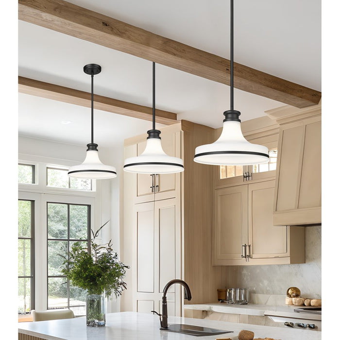 Z-Lite Reznor 1 Light 12" Pendant, Matte Black/Matte Opal