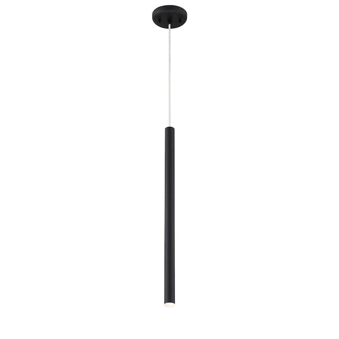 Z-Lite Forest 1 Light 24" Mini Pendant
