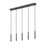 Z-Lite Forest 5 Light 12" LED Linear Chandelier, Black/Black