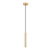 Z-Lite Forest 1 Light 12" Pendant, Modern Gold/Modern Gold - 919MP12-MGLD-LED