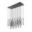 Z-Lite Forest 23 Light 54" LED Linear Chandelier, Black/Black