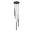 Z-Lite Forest 5 Light 24" LED Chandelier, Black/Black
