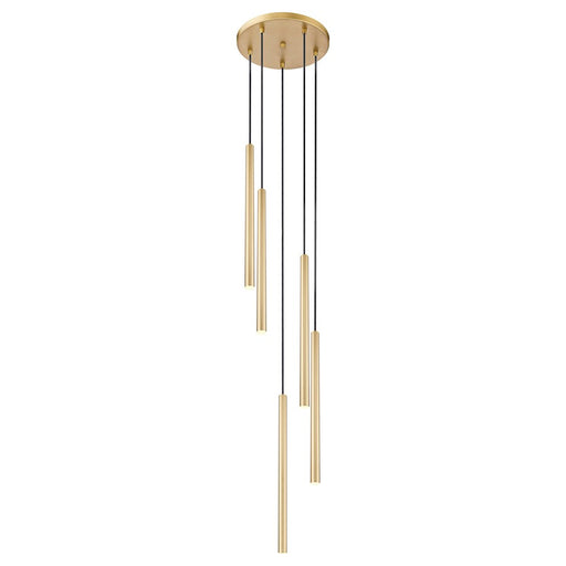 Z-Lite Forest 5 Light 24" LED Chandelier, Gold/Gold - 919MP24-5R-MGLD-LED