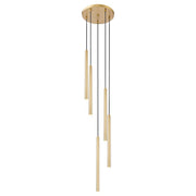 Z-Lite Forest 5Lt 24" LED Chandelier, Gold/Gold - 919MP24-5R-MGLD-LED