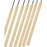 Z-Lite Forest 7 Light 24" LED Linear Chandelier, Gold/Gold