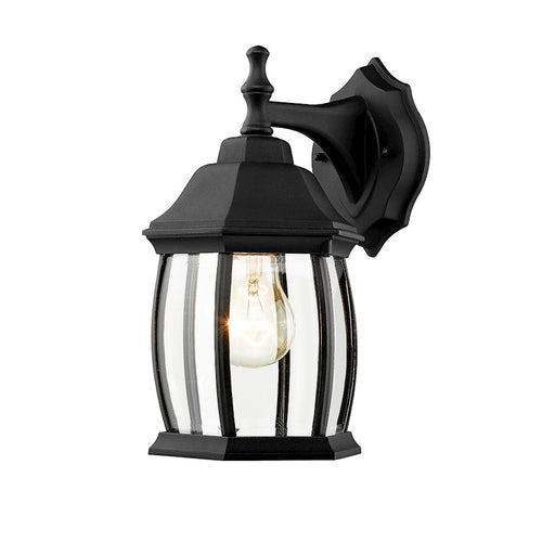 Z-Lite Waterdown 1 Light Outdoor Wall Light 7.5x6x11.75", Black, Clear Bevel - T20-BK